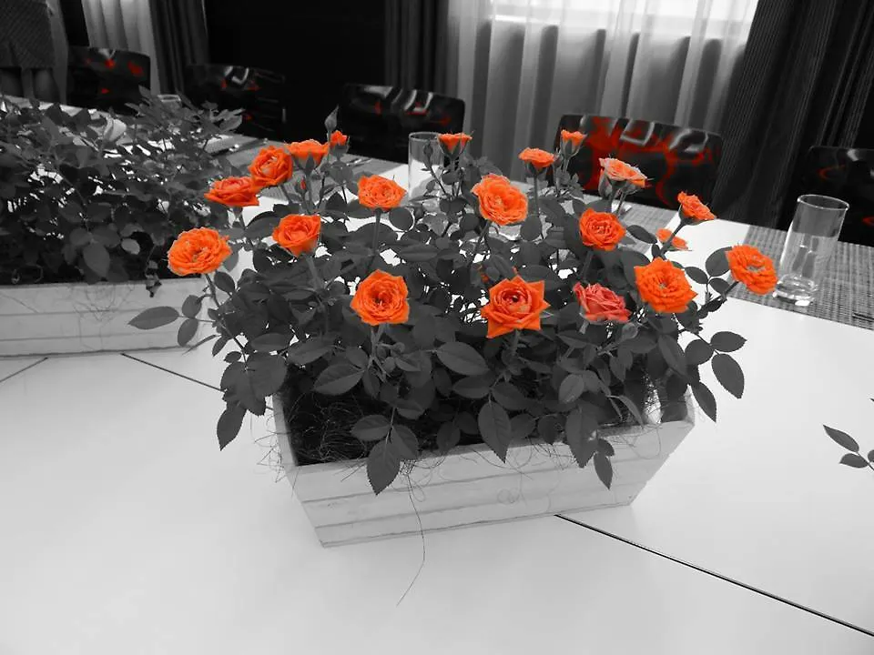 Rosslyn Central Park Hotel Sofia Bulgaria